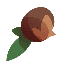 Autumn nut clipart