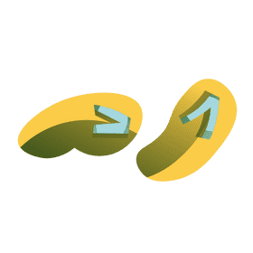 Beach sandals clipart