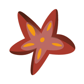 Beach starfish clipart