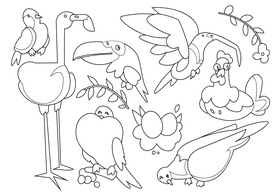 Birds black and white vector
