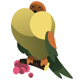 Birds pigeon clipart