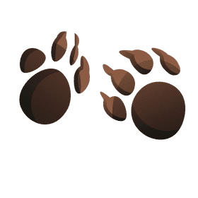 Cats footsteps clipart