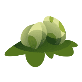Dinosaurs eggs clipart