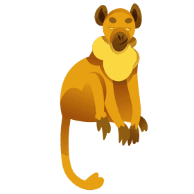 India monkey clipart