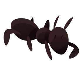 Insects ant clipart