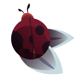 Insects ladybug clipart