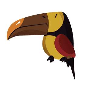 Jungle toucan clipart