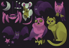 Nocturnal animals vector