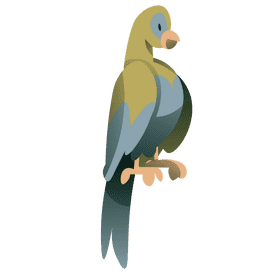 South america parrot clipart