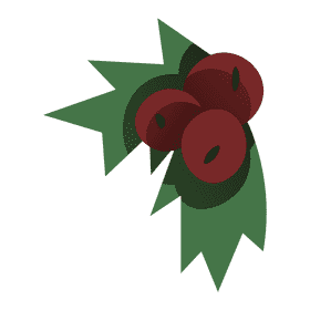 Winter berries clipart