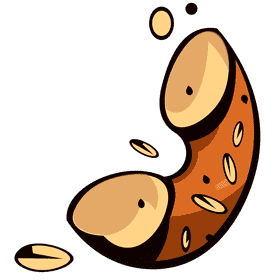 Bagel half clipart