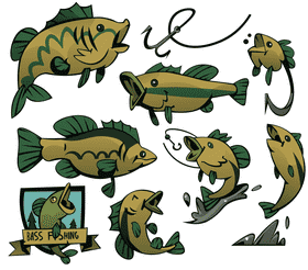 Bass fish vector