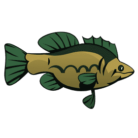 Bass fish side view clipart