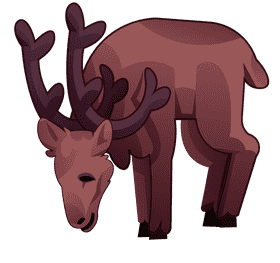 Caribou eating clipart