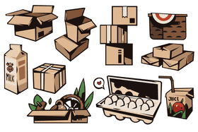 Carton vector