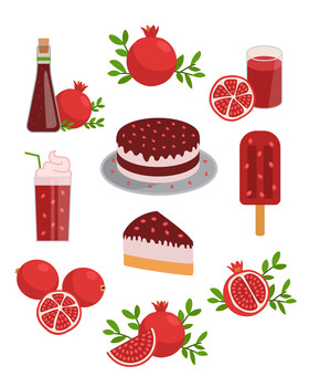 Pomegranate fruit set vector
