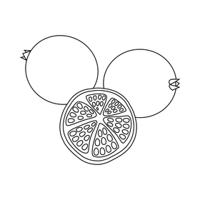 Pomegranates black and white clipart