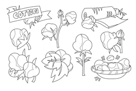 Cotton black and white vector