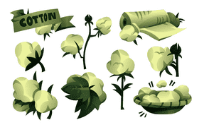 Cotton vector