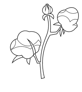 Cotton bud duo black and white clipart