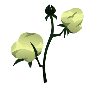 Cotton bud duo clipart