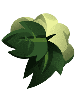 Cotton leaves clipart