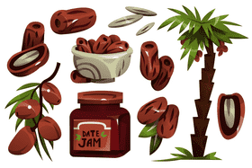 Dates vector