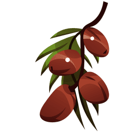 Dates branch clipart