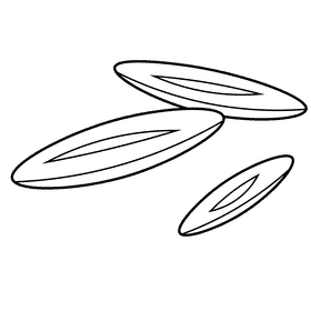 Dates seeds black and white clipart