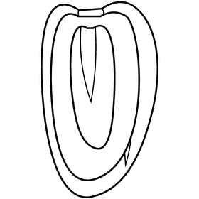 Dates slice black and white clipart