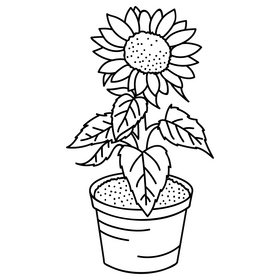 Sunflower in Pot black and white clipart