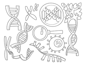 Dna black and white vector