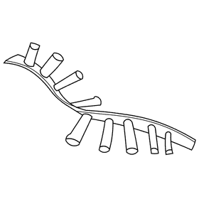 Dna cell black and white clipart