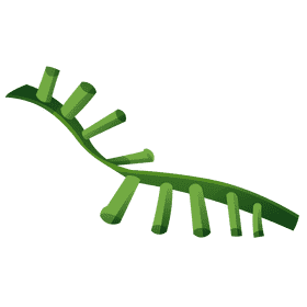 Dna cell clipart