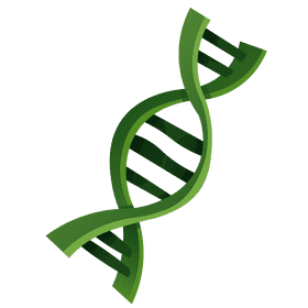 Dna chain clipart