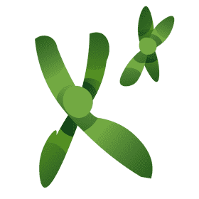 Dna chromosoma clipart