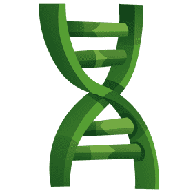 Dna clipart