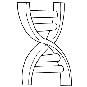 Dna dna black and white clipart