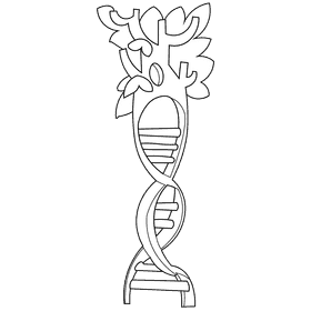 Dna black and white clipart