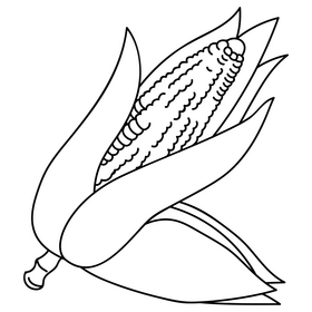 Corn drawing black and white clipart