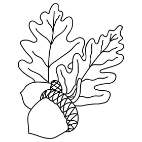 Acorn and leaf drawing black and white clipart