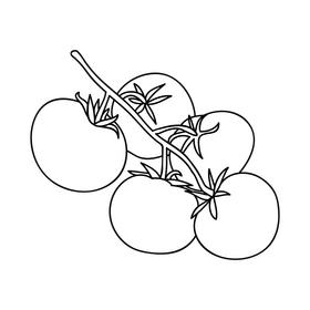 Tomato branch black and white clipart