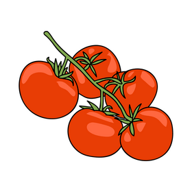 Tomato branch clipart
