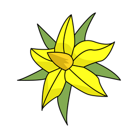 Tomato flower clipart