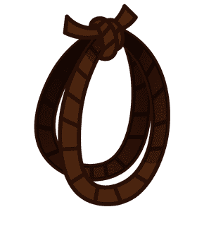 Lasso double clipart