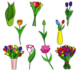 Tulif flower clipart set vector