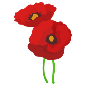 Red poppy flower clipart