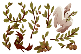 Olive branch vector