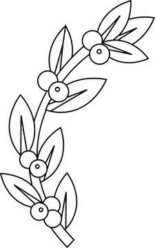 Olive branch berries black and white clipart