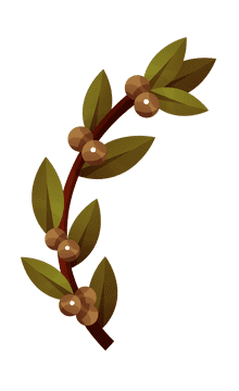 Olive branch berries clipart